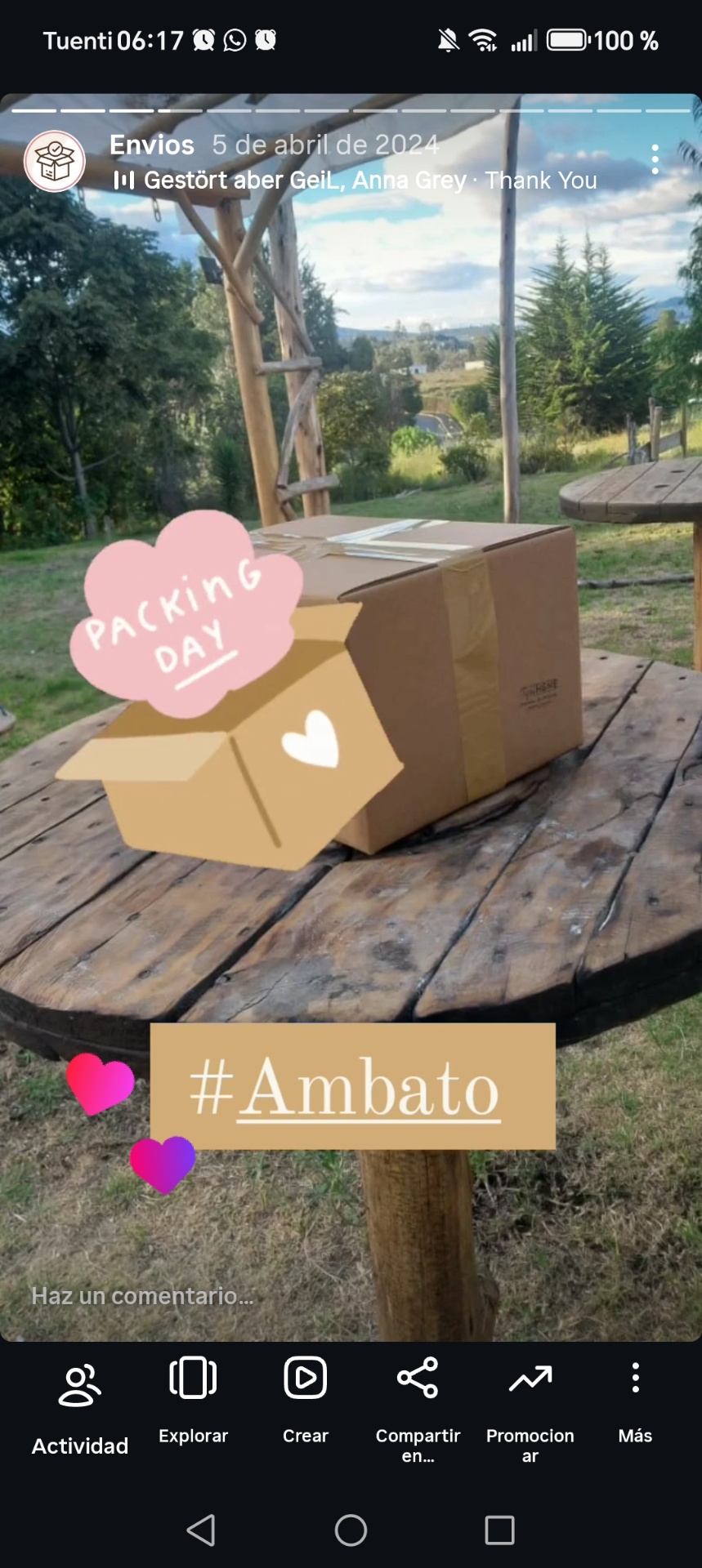 Packing day Ambato